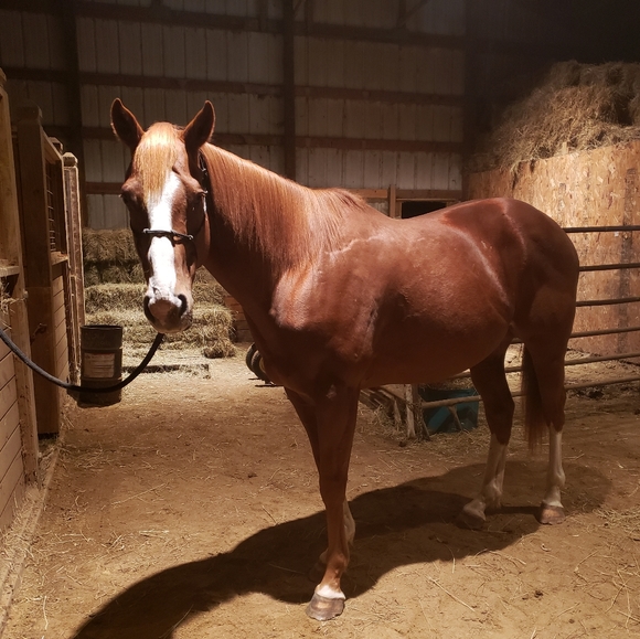 🦇Meet your Posher, Tristin🦇 - Picture 3 of 4